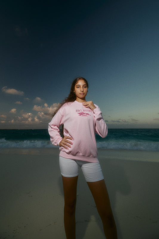 Take Risks Crewneck (pink)